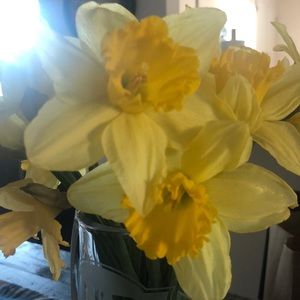 Meet your Posher, Deanne